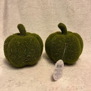 Target DISCONTINUED Moss Covered Pumpkin Set of Two